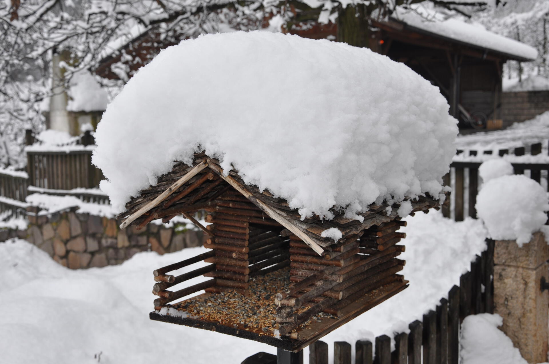 Snowy bird house